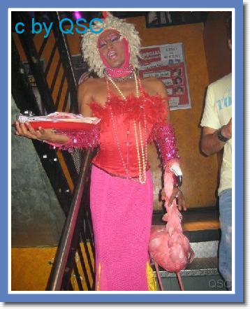 draq queens travestie revue_0000012.jpg